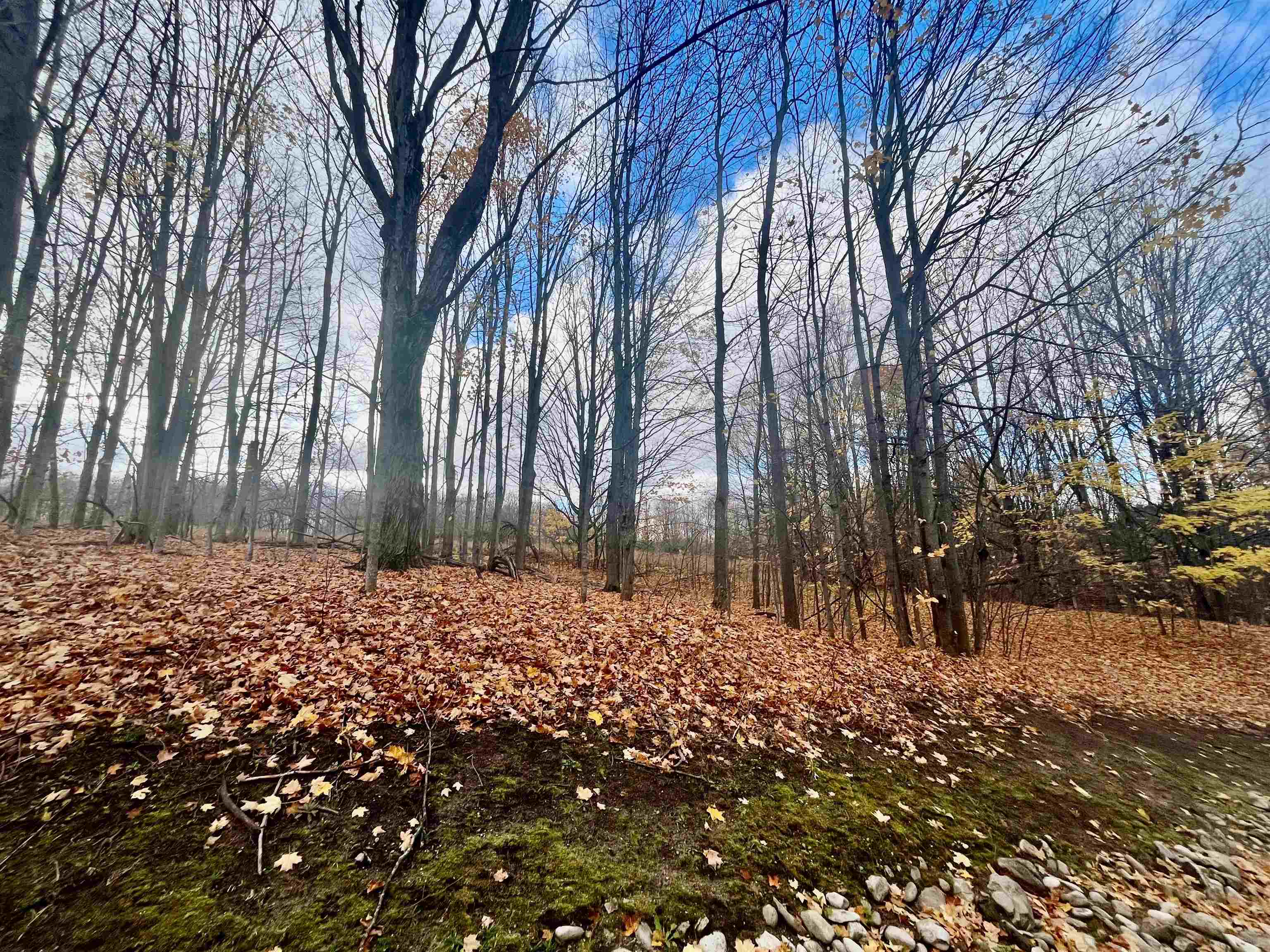 V/L 59 Colonial Drive