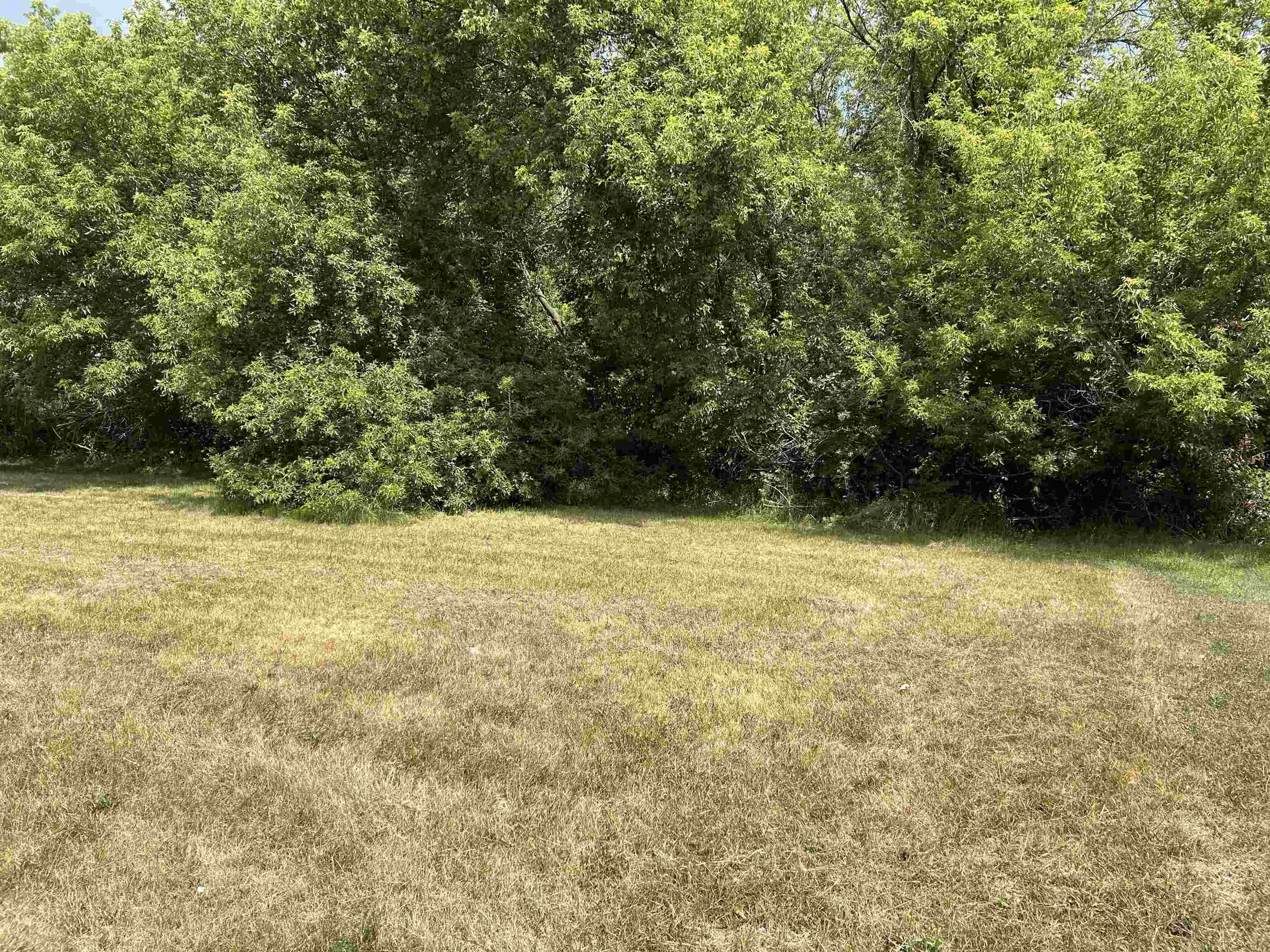 307 Red Maple Lane