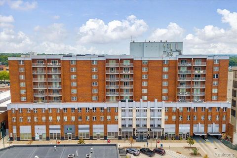 411 S Old Woodward Avenue 527 Birmingham City MI 48009