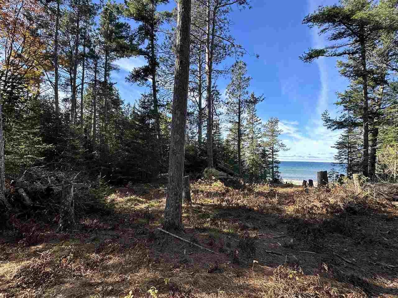 32010 Mrs Reddings Trail