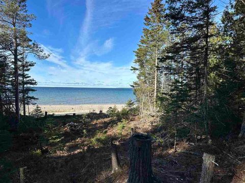 32010 Mrs Reddings Trail Peaine Township MI 49782