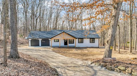 7330 Lingane Road Lyndon Township MI 48118