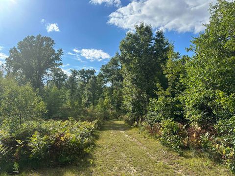 5304 S Brown Road Lake Township MI 49601