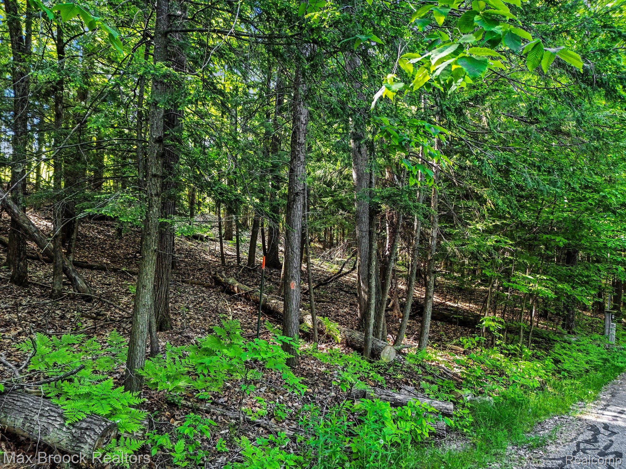 125 Legend Trail