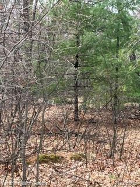 000-303 Otter Trail Moffatt Township MI 48610
