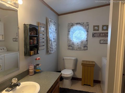 Tiny photo for 1313 E Murphy Lake Road, Rich Township, MI 48744 (MLS # 20261021562)