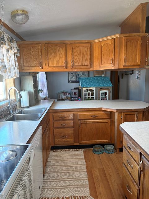 Tiny photo for 1313 E Murphy Lake Road, Rich Township, MI 48744 (MLS # 20261021562)