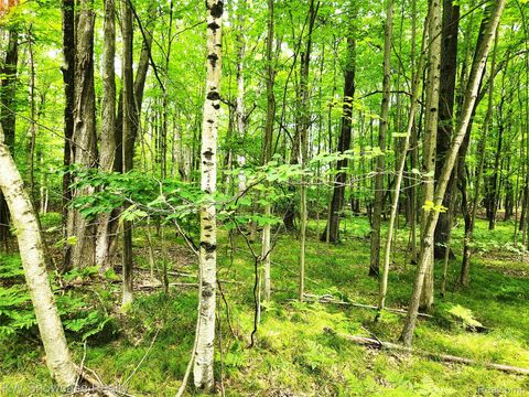 000 Red Fox Run Clare City MI 48622