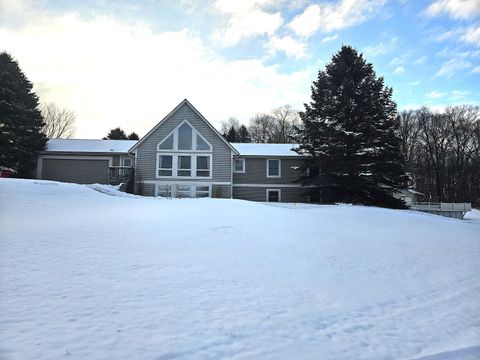 350 Mary Court Hesperia Village MI 49421