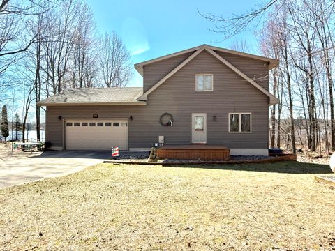 1461 Tasha Drive Belvidere Township MI 48829