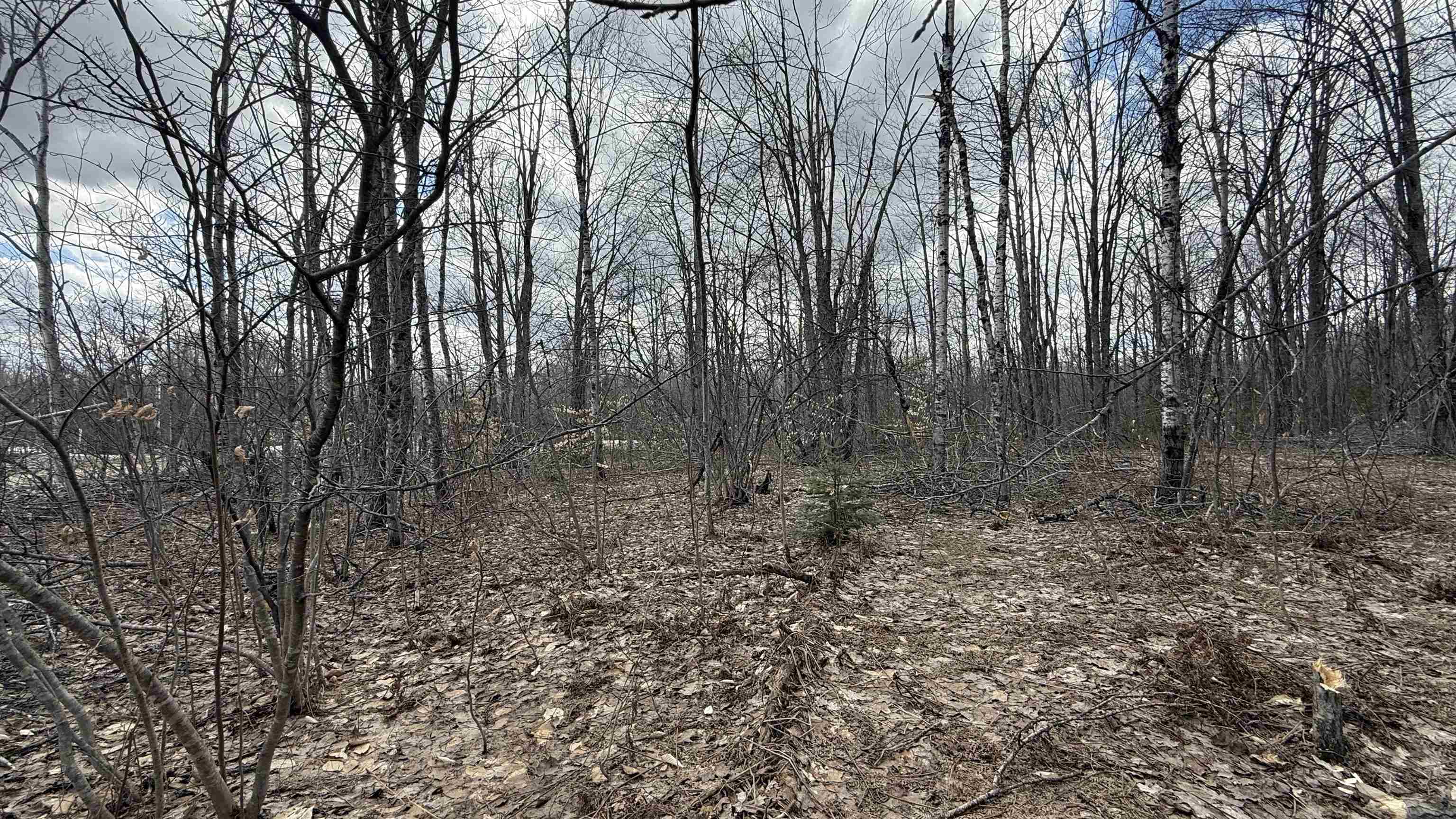 Lot 857 Hollyglen Drive