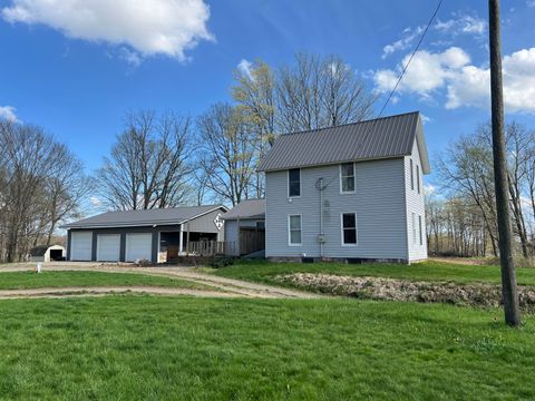 8100 22 1/2 Mile Road Eckford Township MI 49245