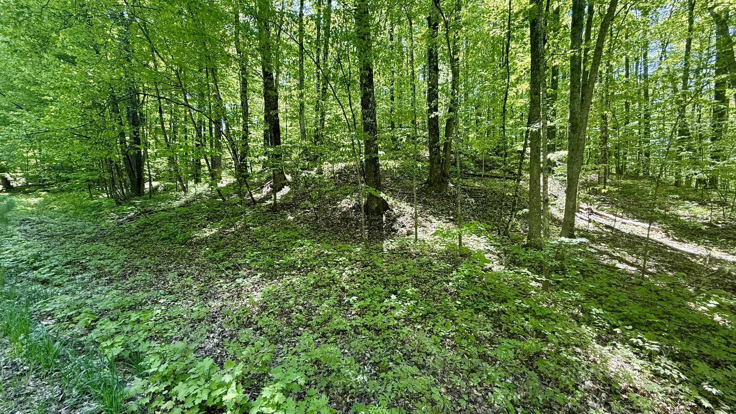 Lot 130 Maromir Court
