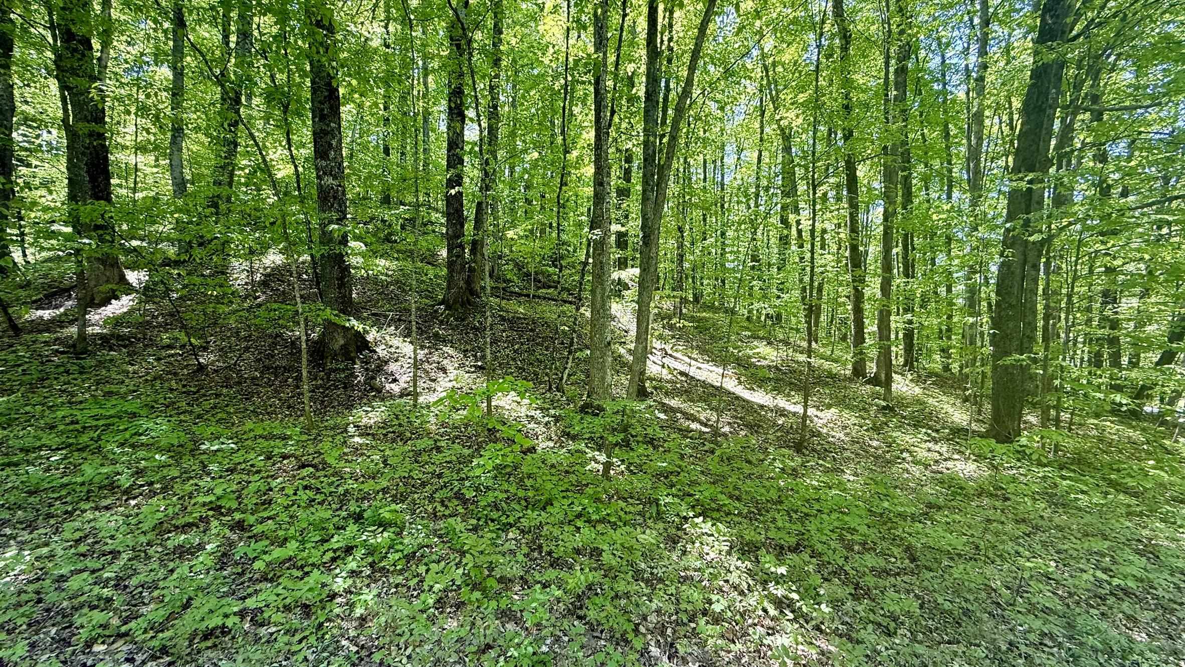 Lot 130 Maromir Court