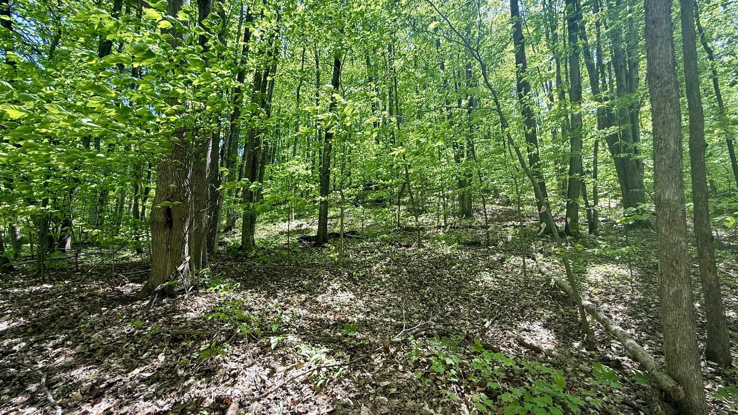 Lot 130 Maromir Court