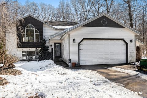 A home in HeathTownship_Allegan