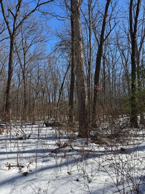 A home in HeathTownship_Allegan