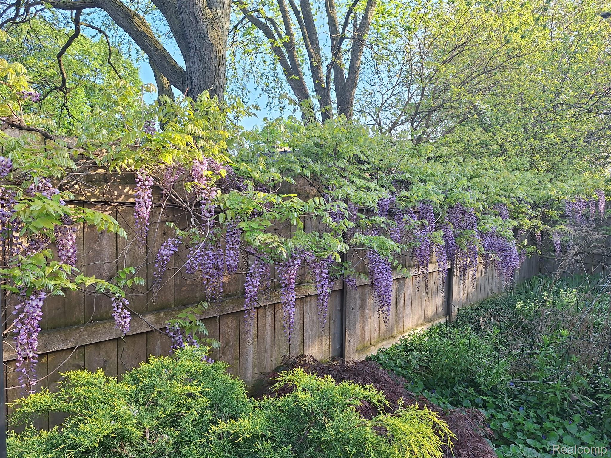 Detroit City, Michigan 48207, United States, 2 Bedrooms Bedrooms, ,2 BathroomsBathrooms,Residential,Active,201763