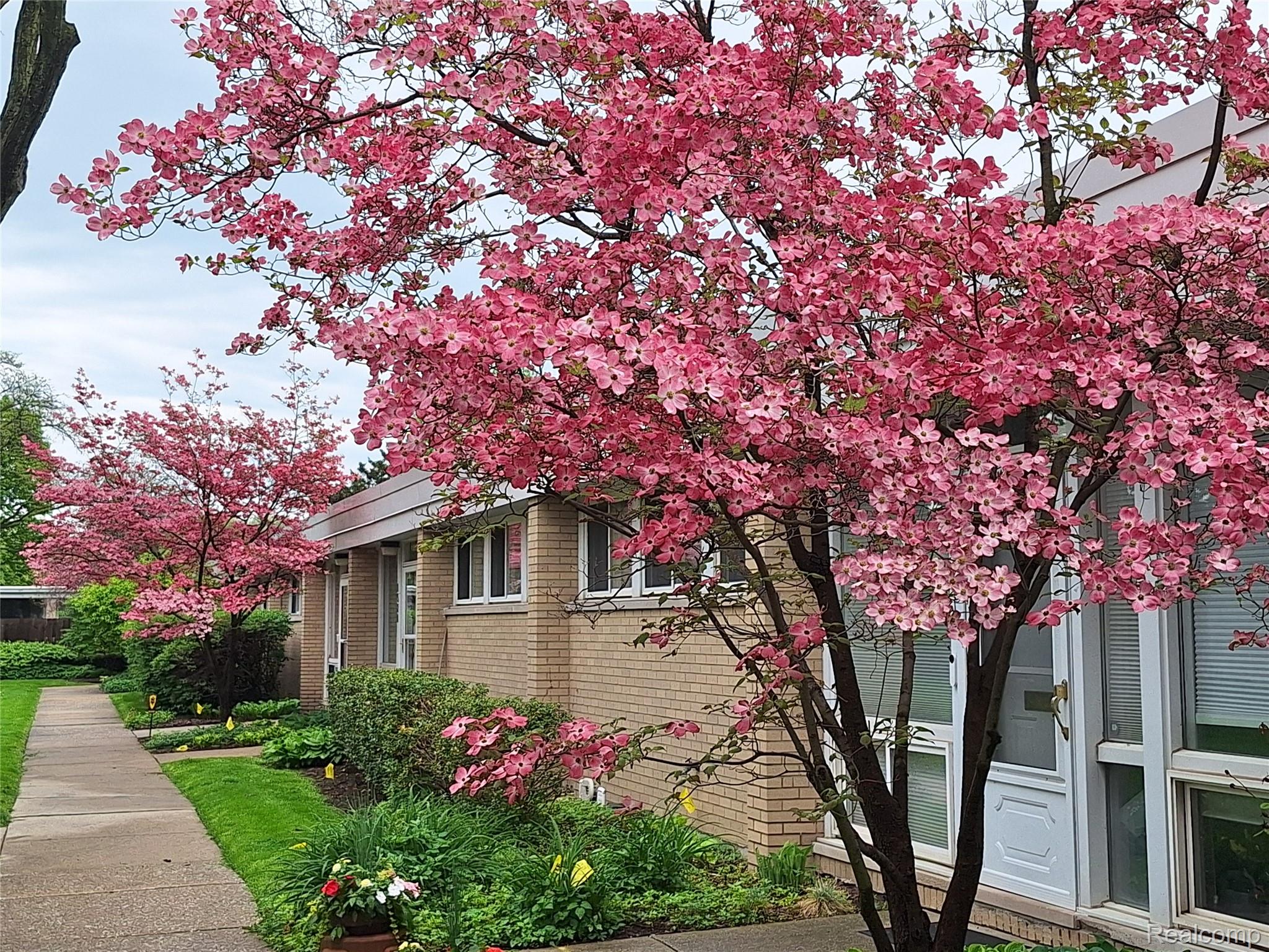 Detroit City, Michigan 48207, United States, 2 Bedrooms Bedrooms, ,2 BathroomsBathrooms,Residential,Active,201763