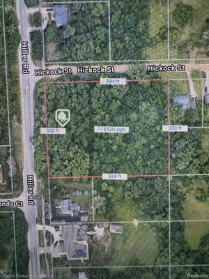 HILLER RD, WEST BLOOMFIELD, MI 48324 - Image 2ba43d007e8bb7d8e87e527803c1cefa/3203610532