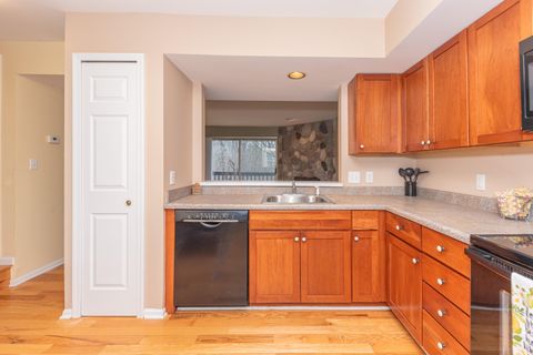 Tiny photo for 278 Lyn Anne Court #27, Ann Arbor, MI 48103 (MLS # 81026010122)