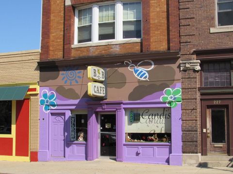 223 S Mechanic Street Jackson City MI 49201