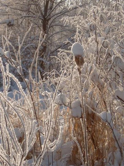 1167 E Michigan Avenue Emmett Charter Township MI 49014