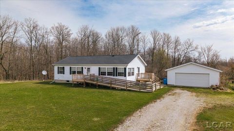 4291 Waldron Road Wheatland Township MI 49262