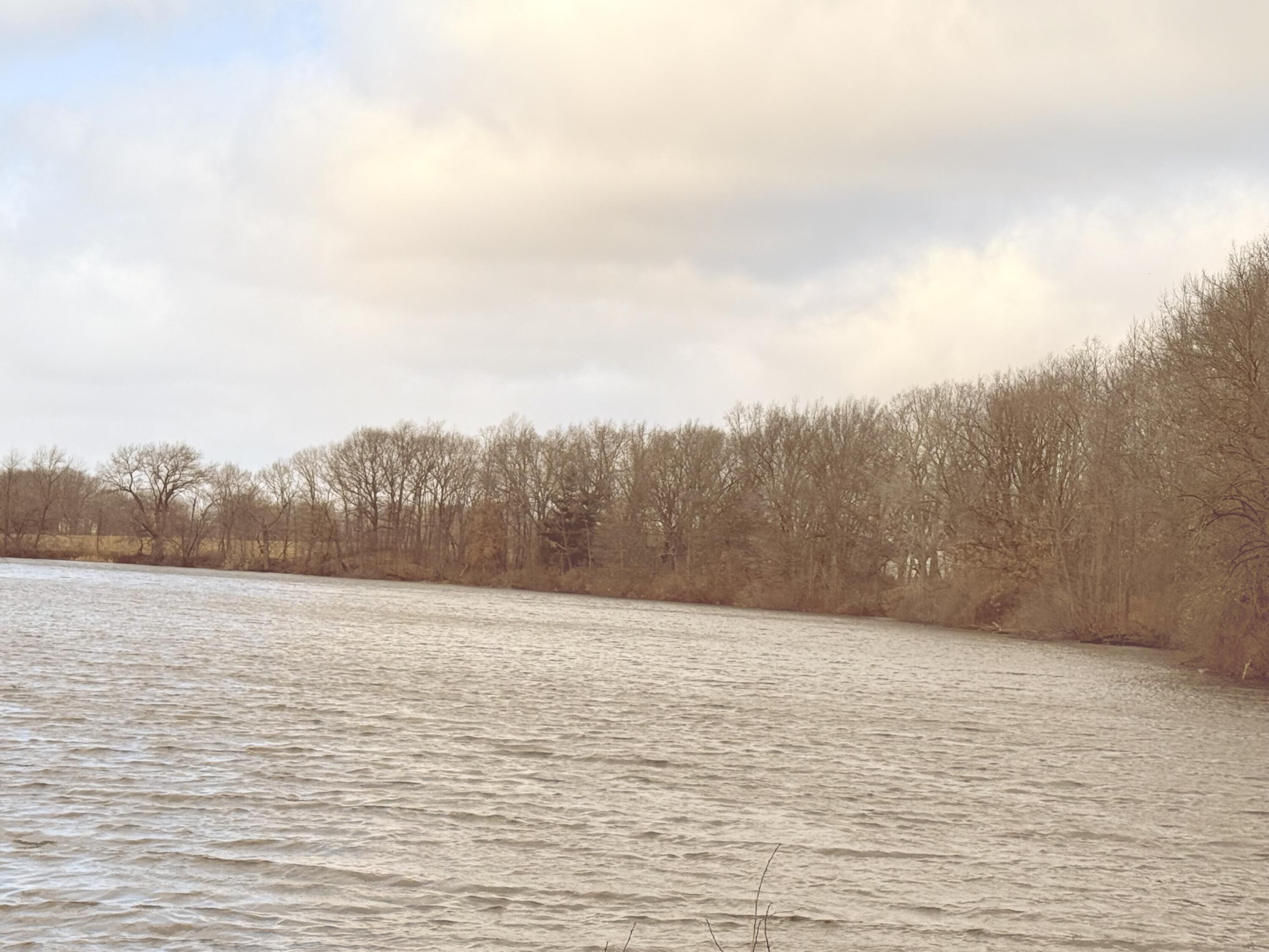 4429 Meadow Brook Lane