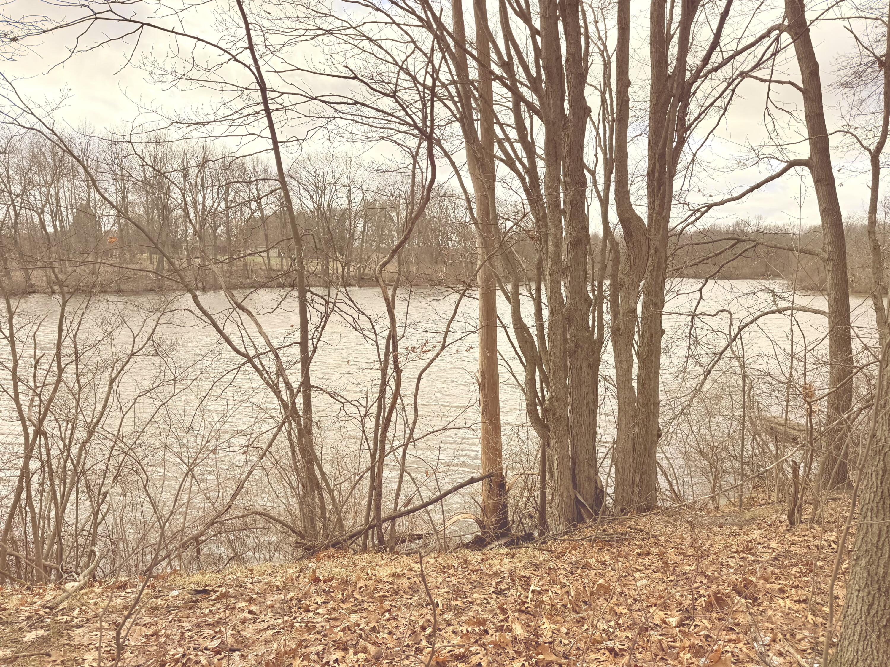 4429 Meadow Brook Lane