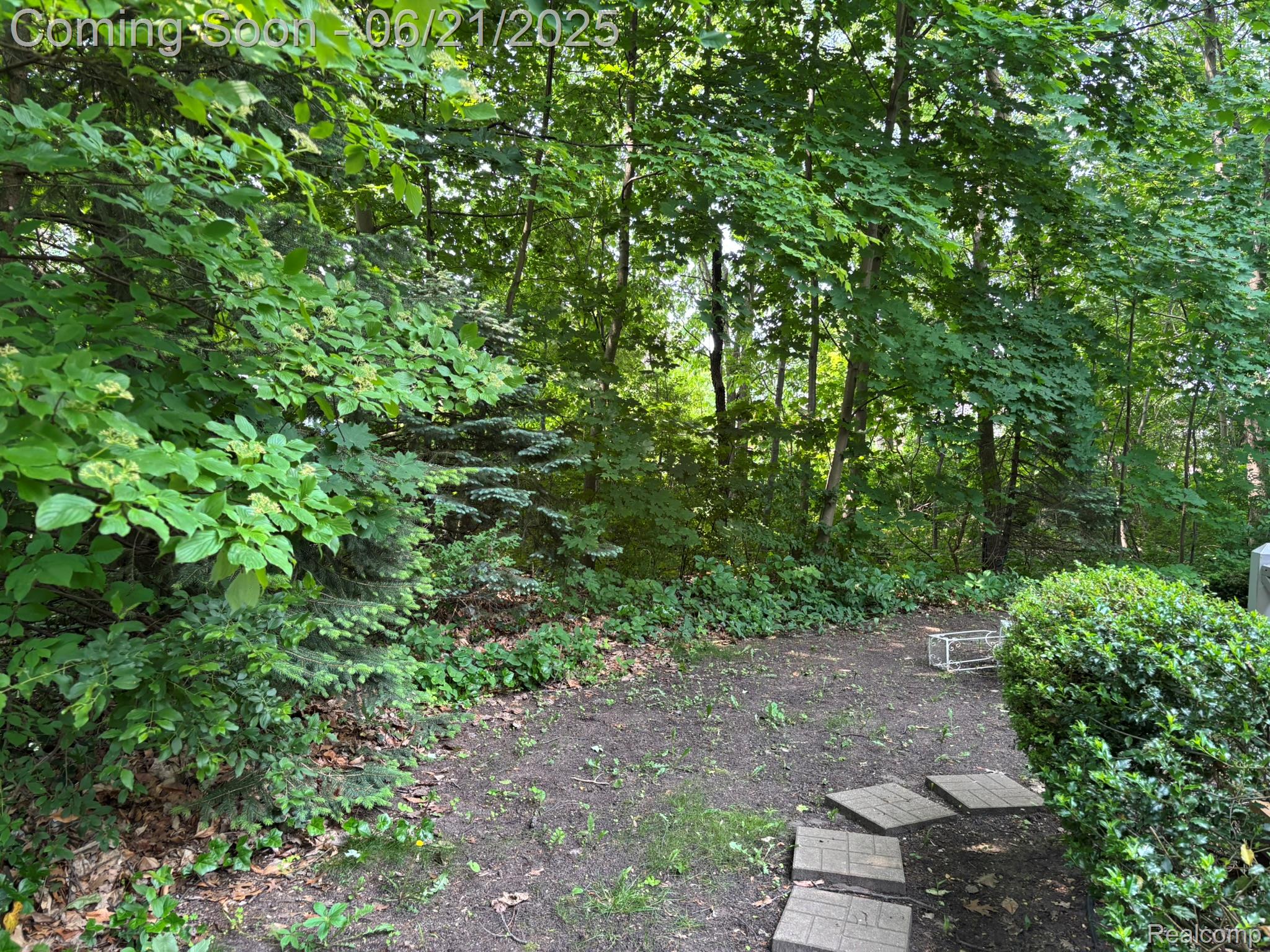 3653 Ramblewood Drive