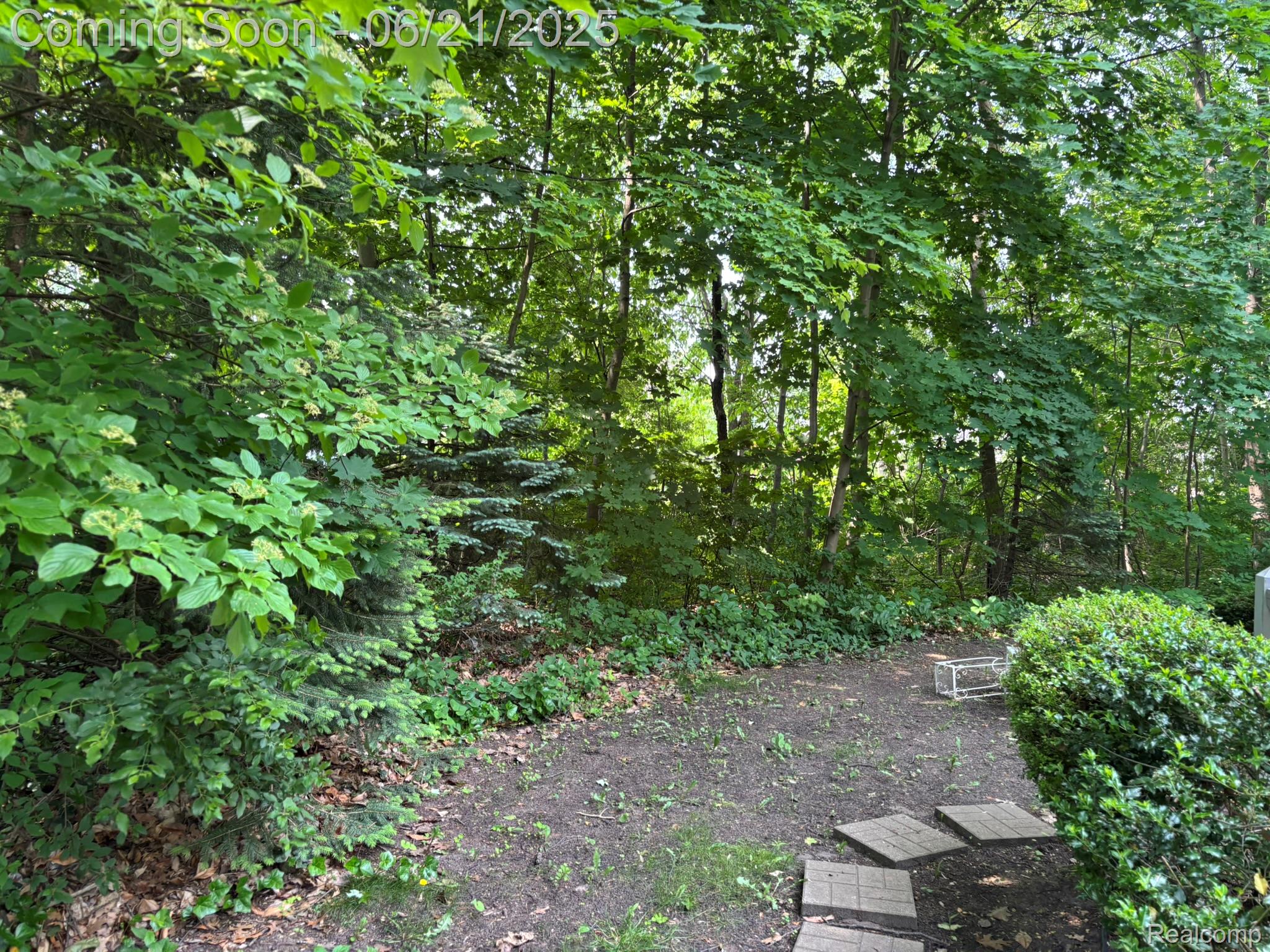3653 Ramblewood Drive
