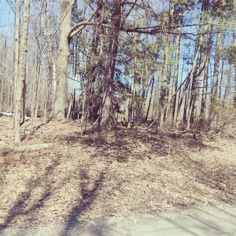 Photo for 0 Schott Road