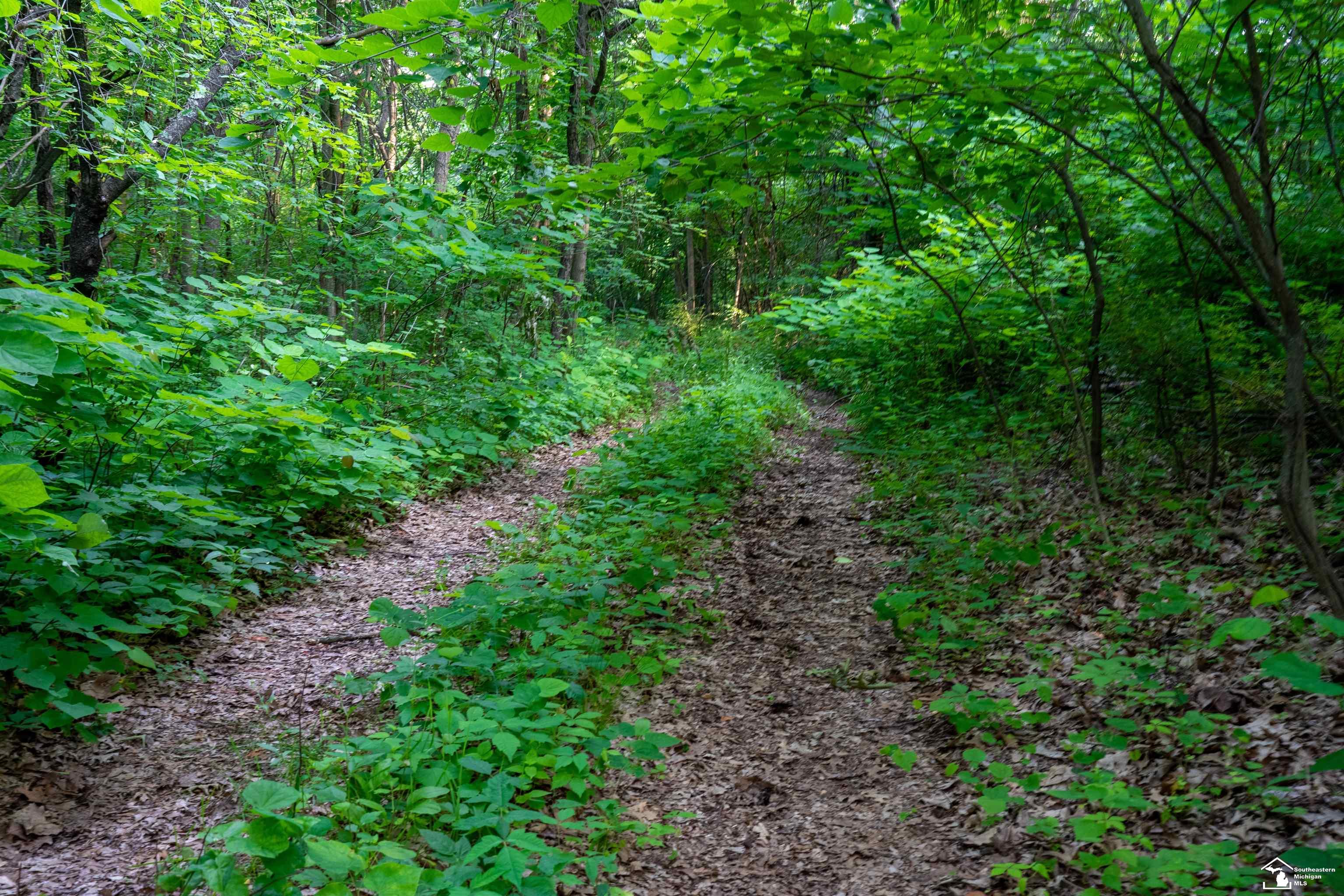 Parcel A Timbers Road