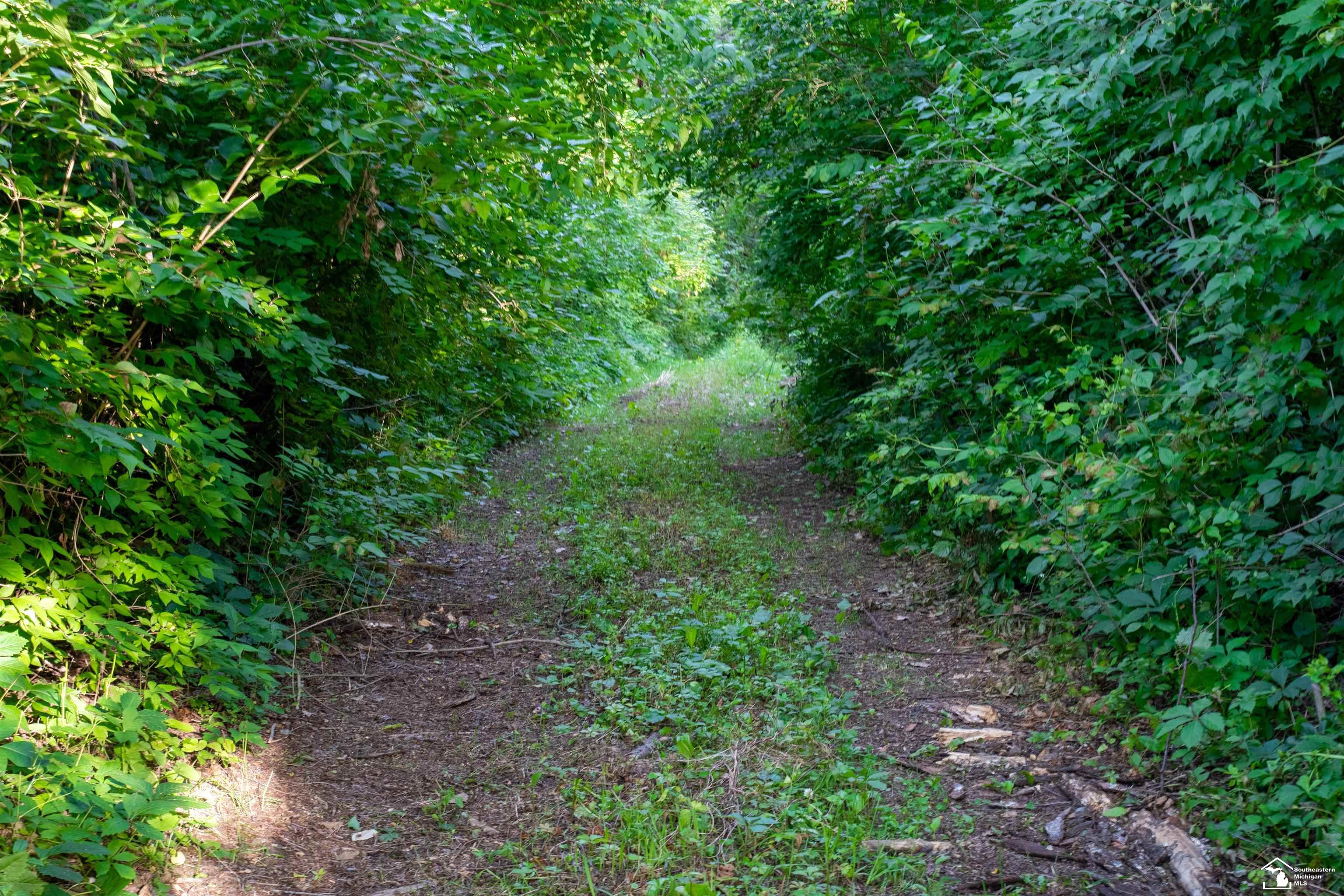 Parcel A Timbers Road