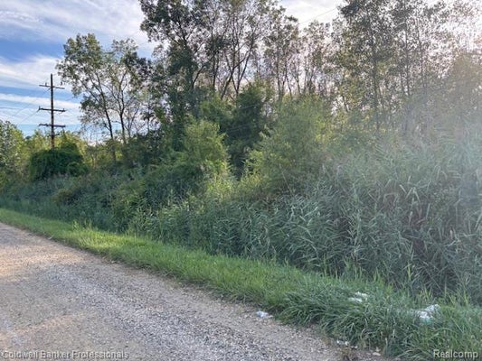 WAHRMAN ST, ROMULUS, MI 48174 - Image 2cf67fa0619a8a94928596ddaa659c79/3029717586