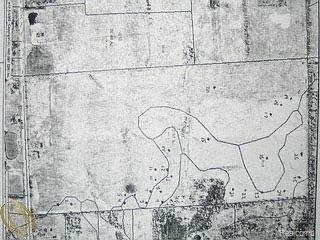 VACANT Five Mile Road