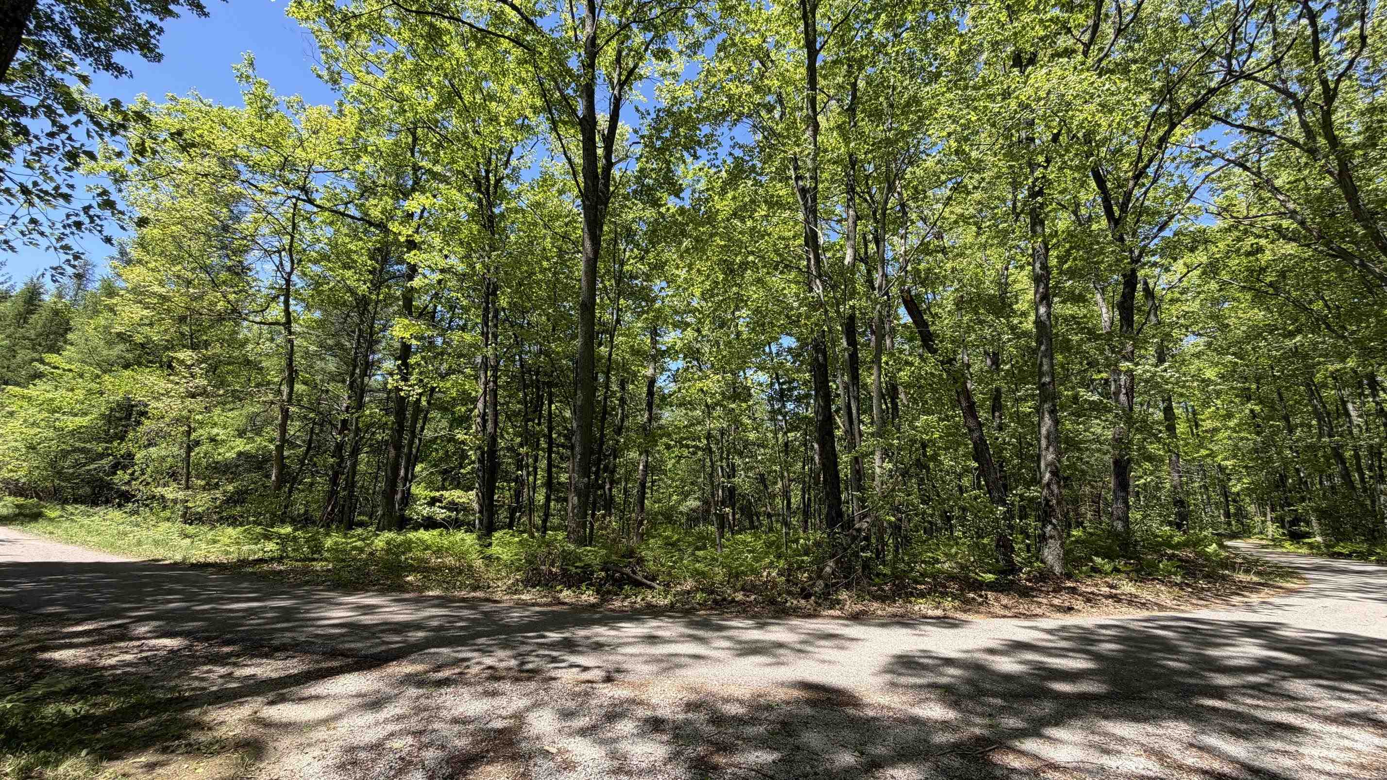 TBD W Lake George Drive