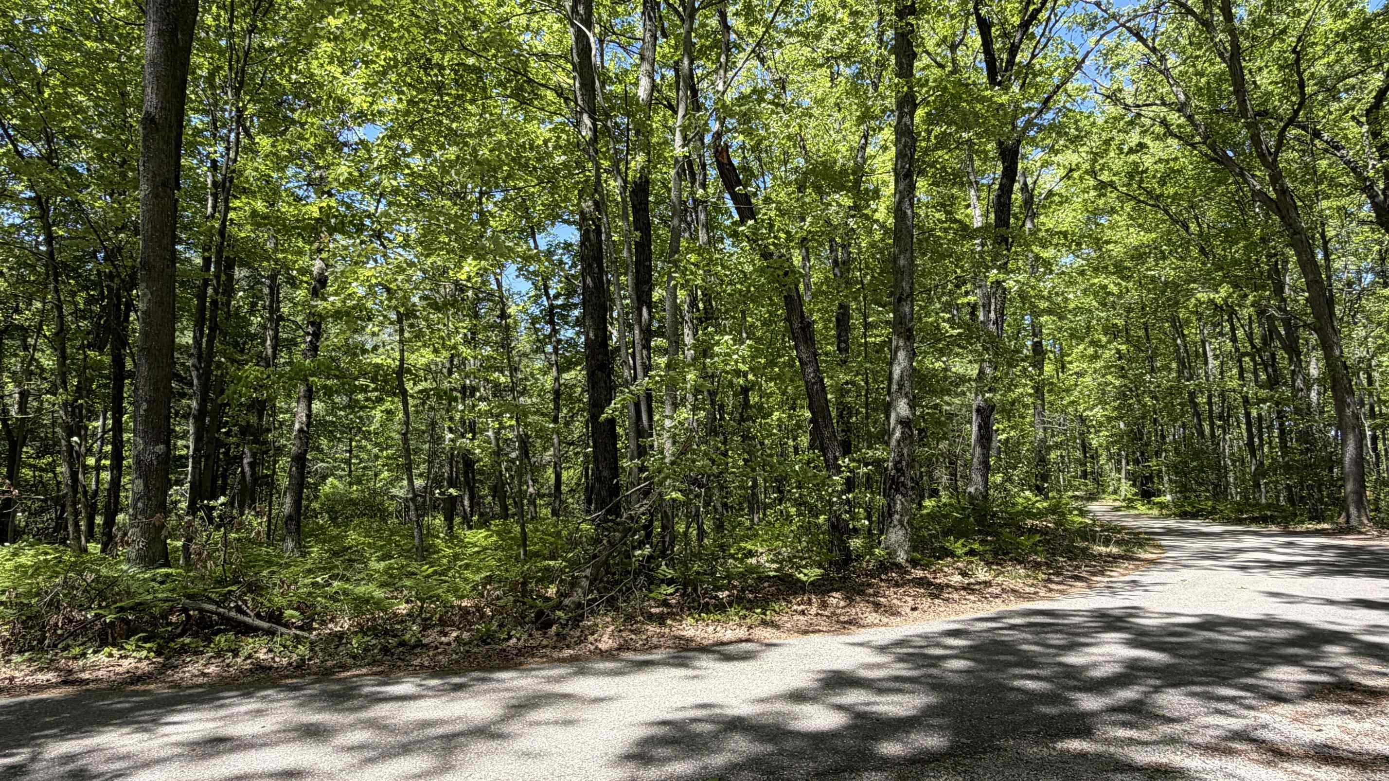 TBD W Lake George Drive
