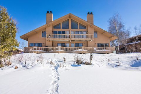 6658 Schuss Mountain Lane Custer Township MI 49659