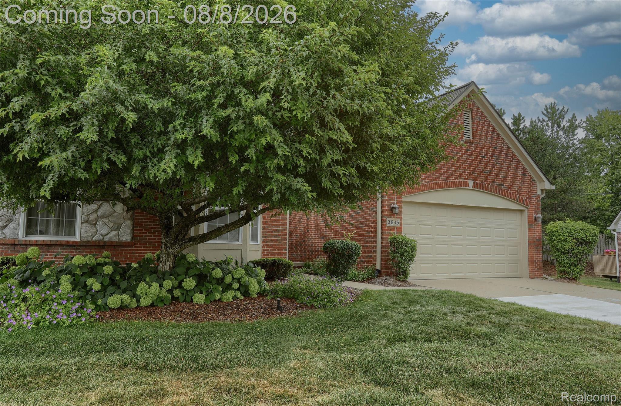 3845 Arbor Drive