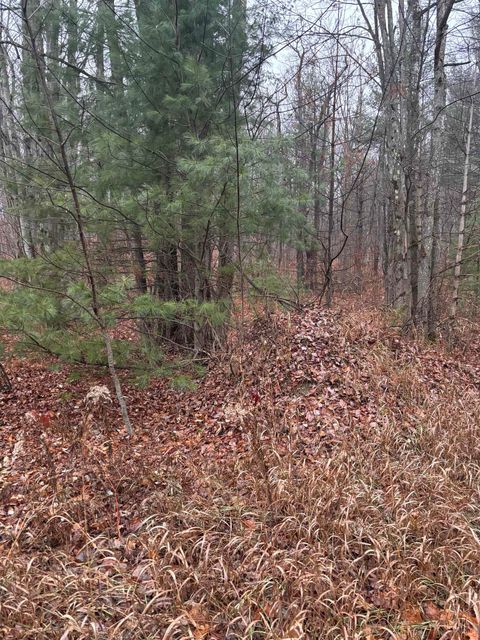 VL 10 Lake Louise Road Inland Township MI 49643