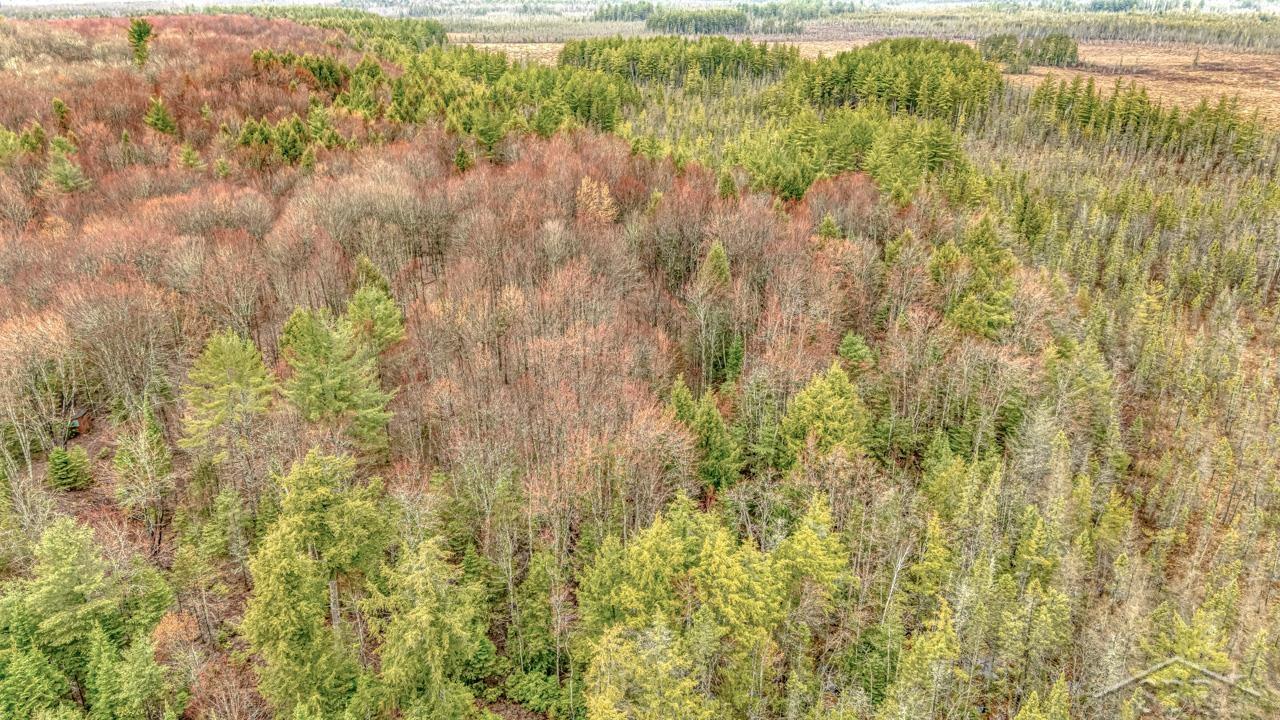 Wetmore, Michigan 49895, United States, ,Land,Active,253679