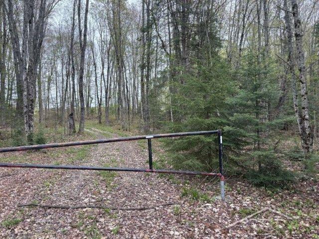 Wetmore, Michigan 49895, United States, ,Land,Active,253679