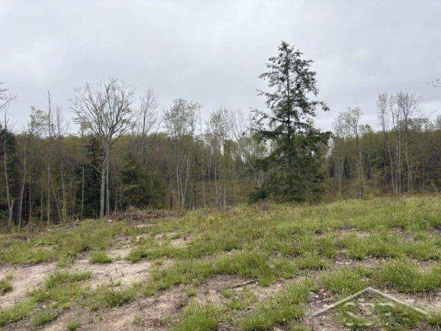 Wetmore, Michigan 49895, United States, ,Land,Active,253679