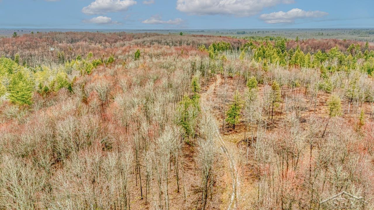 Wetmore, Michigan 49895, United States, ,Land,Active,253679