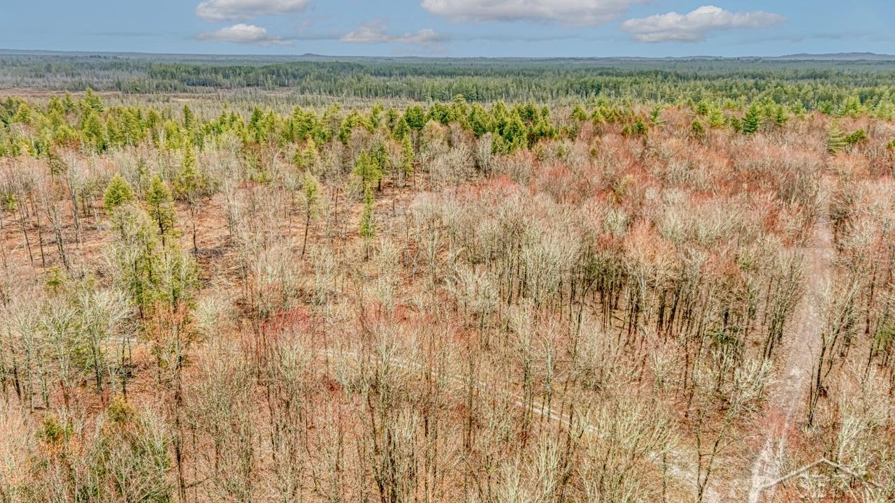 Wetmore, Michigan 49895, United States, ,Land,Active,253679