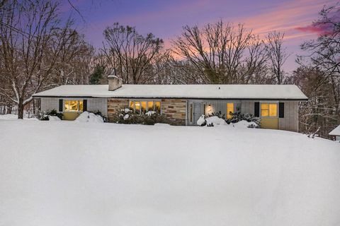 17339 Mckinley Road Colfax Township MI 49307