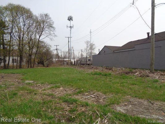 11638 SAINT LOUIS ST, HAMTRAMCK, MI 48212 - Image 2d8a2331a7b52619c2ac8a0ff765bea5/1183635249