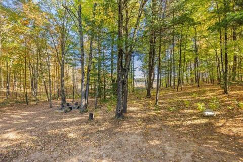 Tiny photo for 10154 Connelley Avenue NE, Oakfield Township, MI 48838 (MLS # 65026055840)